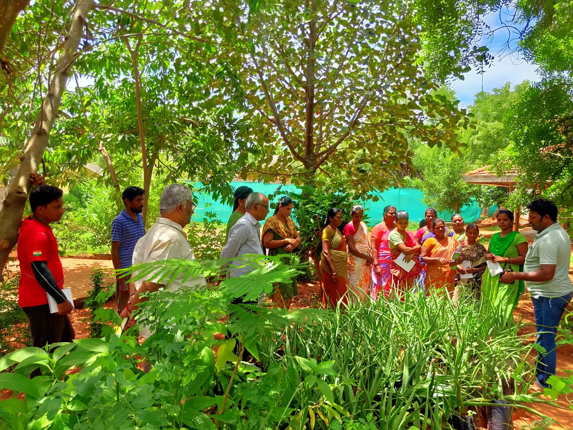 Garden visit at Auroville Botanical Garden. Villupuram Dist